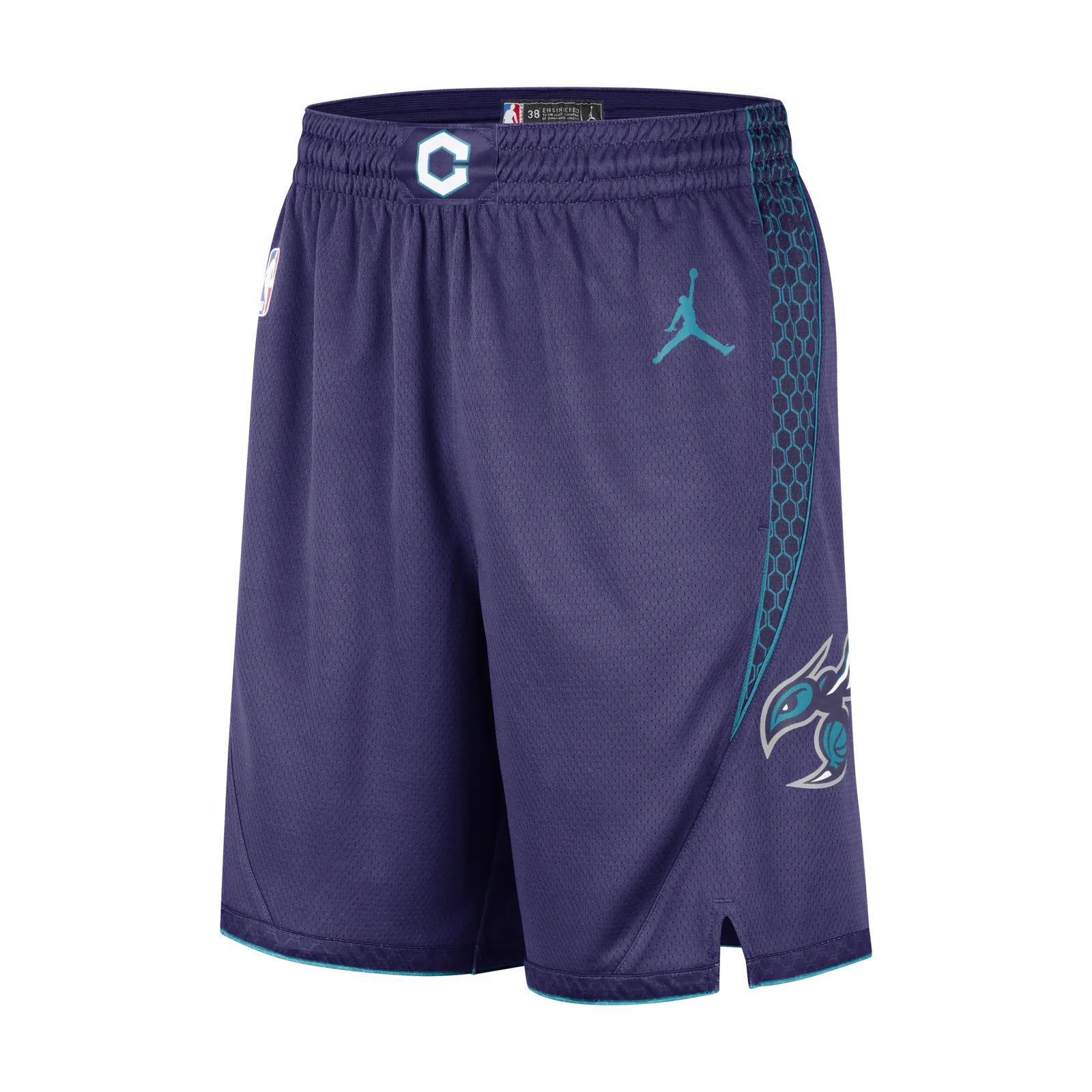 Nike Charlotte Hornets Statement Edition NBA Jordan Dri-FIT Swingman Shorts