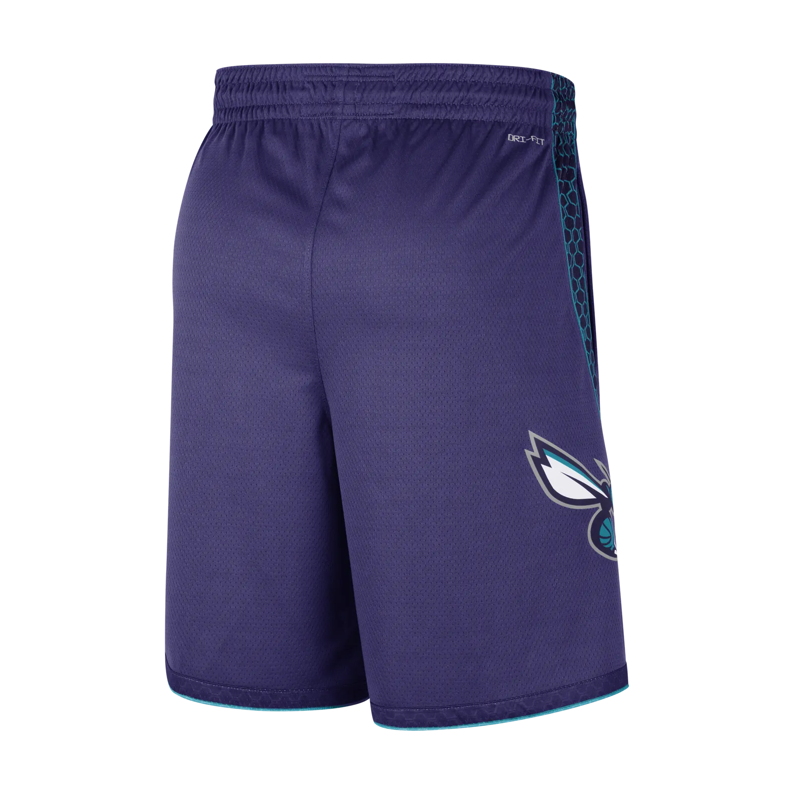 Nike Charlotte Hornets Statement Edition NBA Jordan Dri-FIT Swingman Shorts